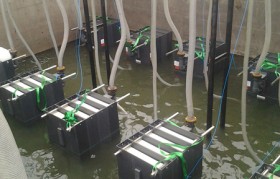 發(fā)電廠垃圾滲濾液水質(zhì)特點是什么？