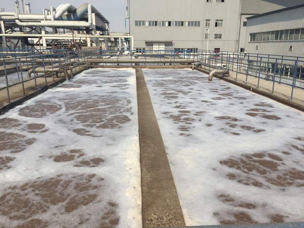 除磷劑是什么藥劑？水里的總磷來(lái)自哪里？